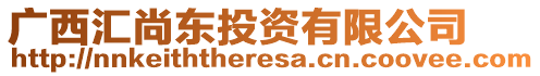 廣西匯尚東投資有限公司