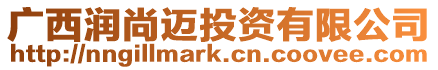 廣西潤尚邁投資有限公司