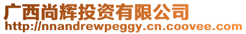 廣西尚輝投資有限公司