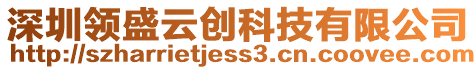 深圳領(lǐng)盛云創(chuàng)科技有限公司