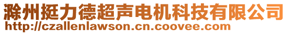 滁州挺力德超聲電機科技有限公司