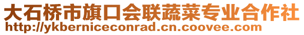 大石橋市旗口會聯(lián)蔬菜專業(yè)合作社