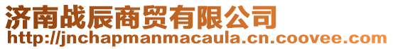 濟南戰辰商貿有限公司