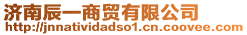 濟(jì)南辰一商貿(mào)有限公司