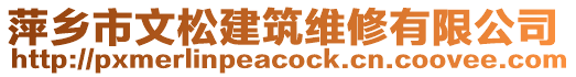 萍鄉(xiāng)市文松建筑維修有限公司