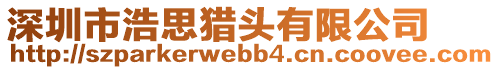 深圳市浩思獵頭有限公司