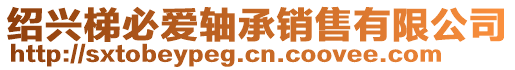 紹興梯必愛(ài)軸承銷售有限公司