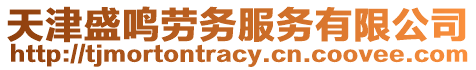 天津盛鳴勞務(wù)服務(wù)有限公司