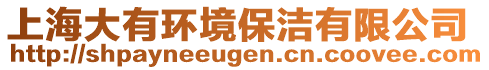 上海大有環(huán)境保潔有限公司