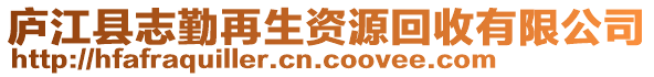 廬江縣志勤再生資源回收有限公司