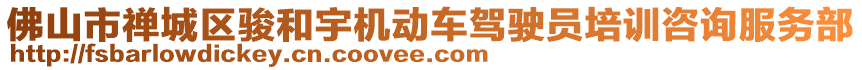 佛山市禪城區(qū)駿和宇機動車駕駛員培訓咨詢服務部