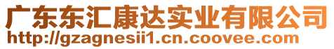 廣東東匯康達(dá)實(shí)業(yè)有限公司