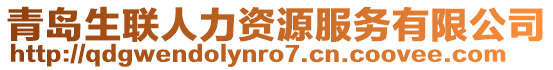 青島生聯(lián)人力資源服務(wù)有限公司