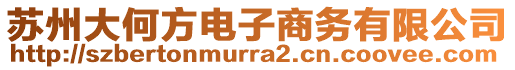 蘇州大何方電子商務(wù)有限公司