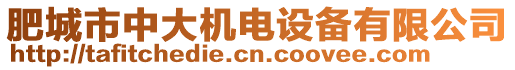 肥城市中大機(jī)電設(shè)備有限公司