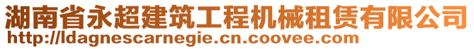 湖南省永超建筑工程機(jī)械租賃有限公司