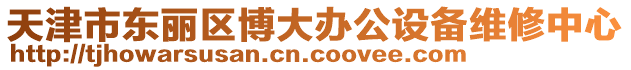 天津市東麗區(qū)博大辦公設(shè)備維修中心