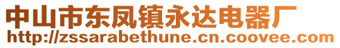 中山市東鳳鎮(zhèn)永達電器廠