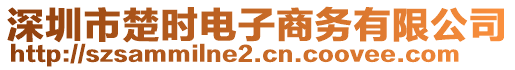 深圳市楚時電子商務有限公司