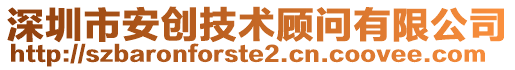 深圳市安创技术顾问有限公司