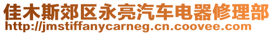 佳木斯郊區永亮汽車電器修理部