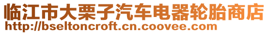 臨江市大栗子汽車電器輪胎商店