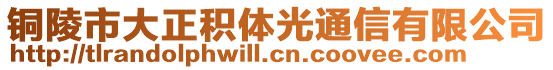 銅陵市大正積體光通信有限公司