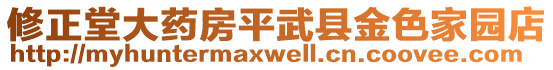 修正堂大藥房平武縣金色家園店