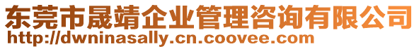 東莞市晟靖企業(yè)管理咨詢有限公司