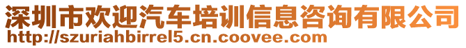 深圳市歡迎汽車培訓信息咨詢有限公司