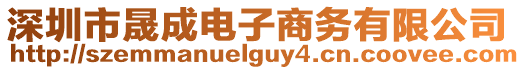 深圳市晟成電子商務有限公司