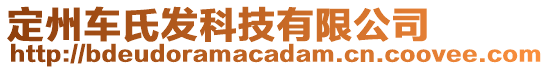 定州車氏發(fā)科技有限公司