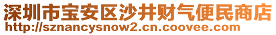 深圳市寶安區(qū)沙井財氣便民商店