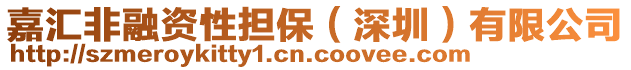 嘉汇非融资性担保（深圳）有限公司