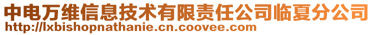 中電萬維信息技術有限責任公司臨夏分公司