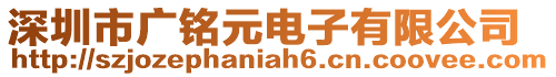 深圳市廣銘元電子有限公司