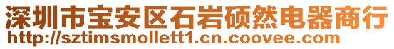 深圳市寶安區石巖碩然電器商行