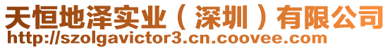 天恒地澤實業(深圳)有限公司