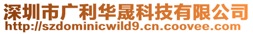 深圳市廣利華晟科技有限公司
