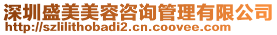 深圳盛美美容咨詢管理有限公司