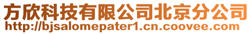方欣科技有限公司北京分公司