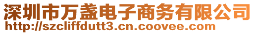 深圳市萬盞電子商務(wù)有限公司