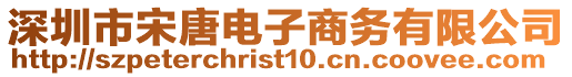 深圳市宋唐電子商務(wù)有限公司