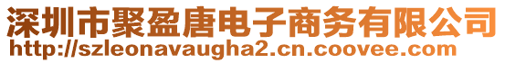 深圳市聚盈唐電子商務有限公司