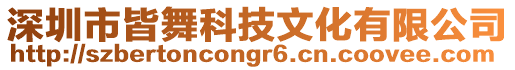 深圳市皆舞科技文化有限公司