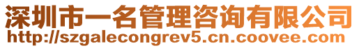 深圳市一名管理咨詢有限公司