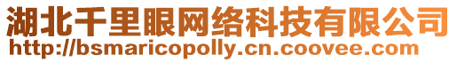 湖北千里眼網絡科技有限公司