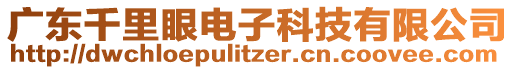 廣東千里眼電子科技有限公司