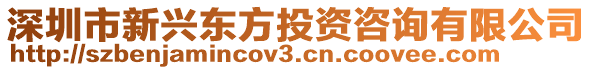 深圳市新興東方投資咨詢有限公司