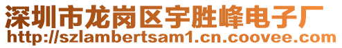 深圳市龍崗區(qū)宇勝峰電子廠